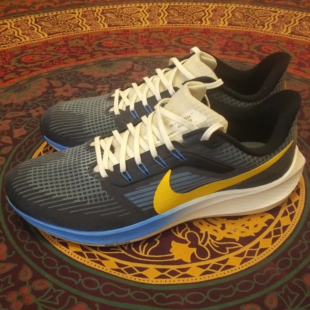 Nike Zoom Air Pegasus 39 blue gold